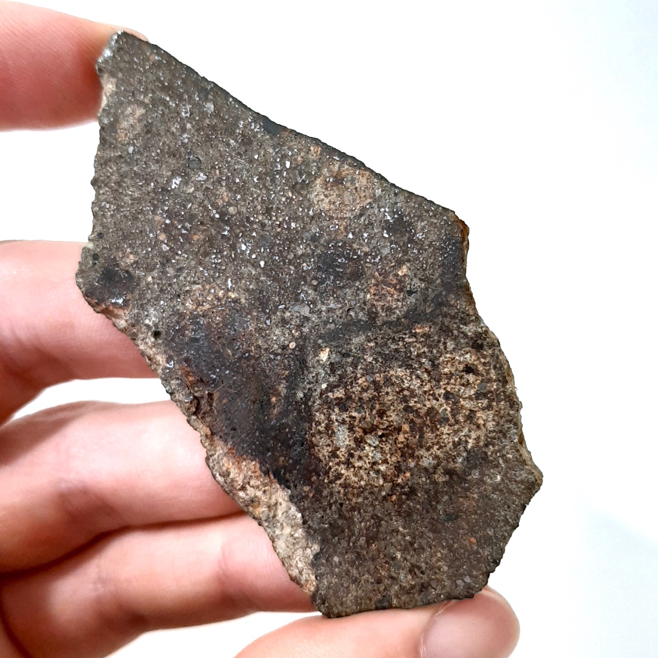 Korra Korrabes meteorite. From Gibeon's strewnfield.