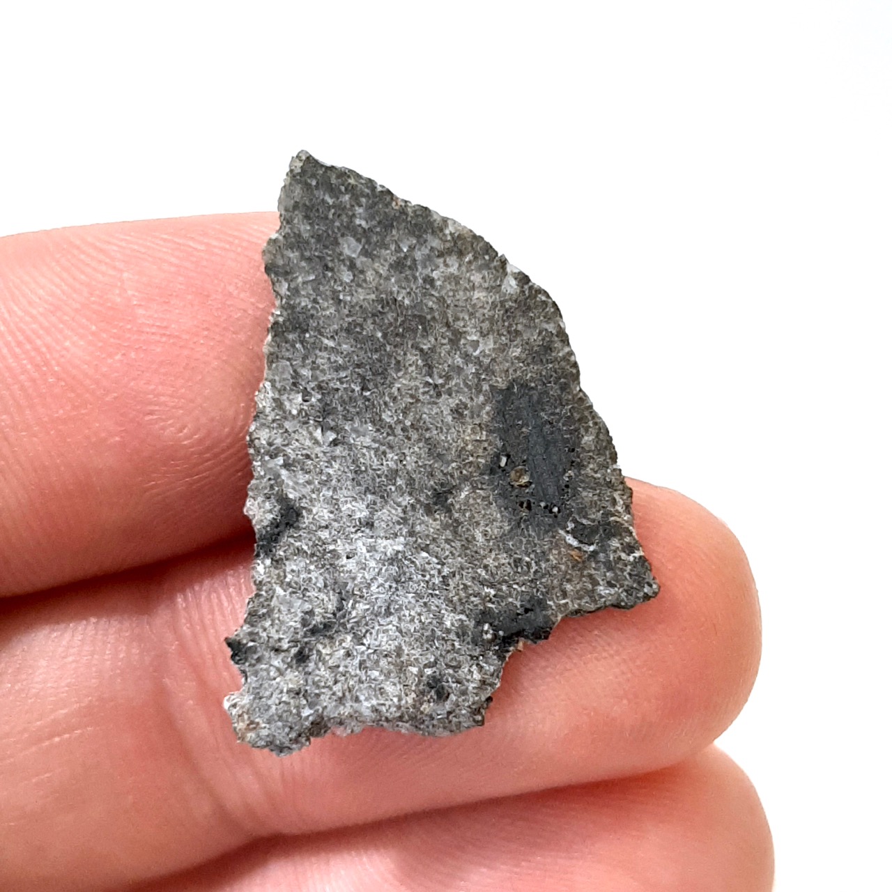 Martian meteorite. NWA 13190. Rock from Mars.
