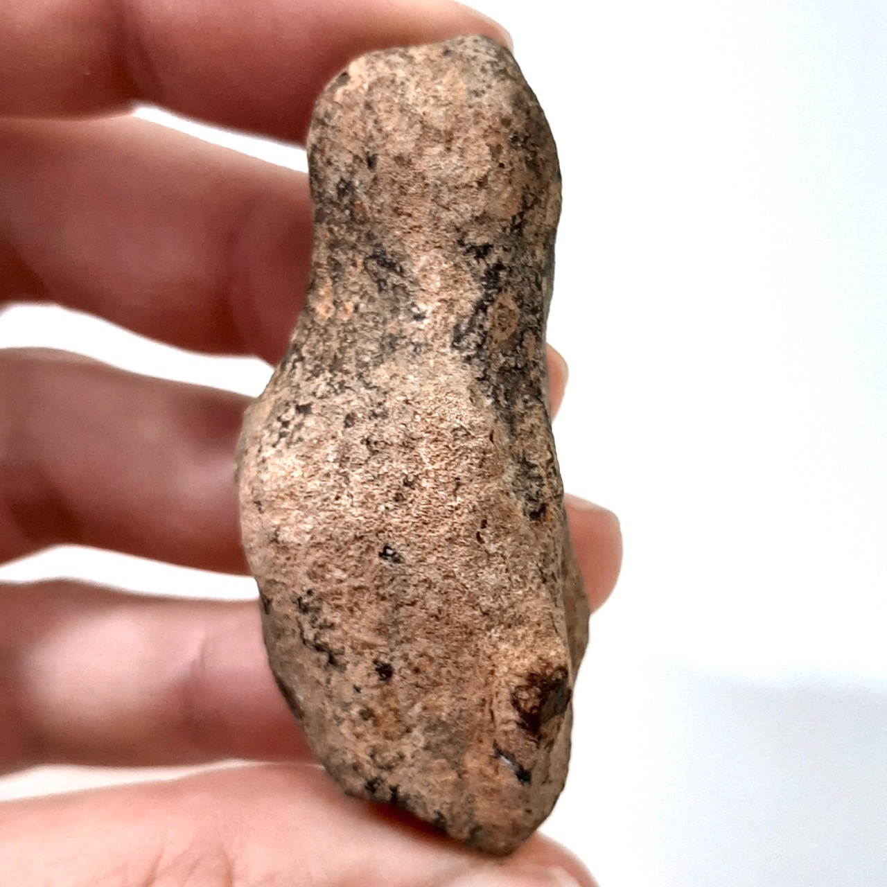 Mundrabilla meteorite. Iron from Australia. Individual.