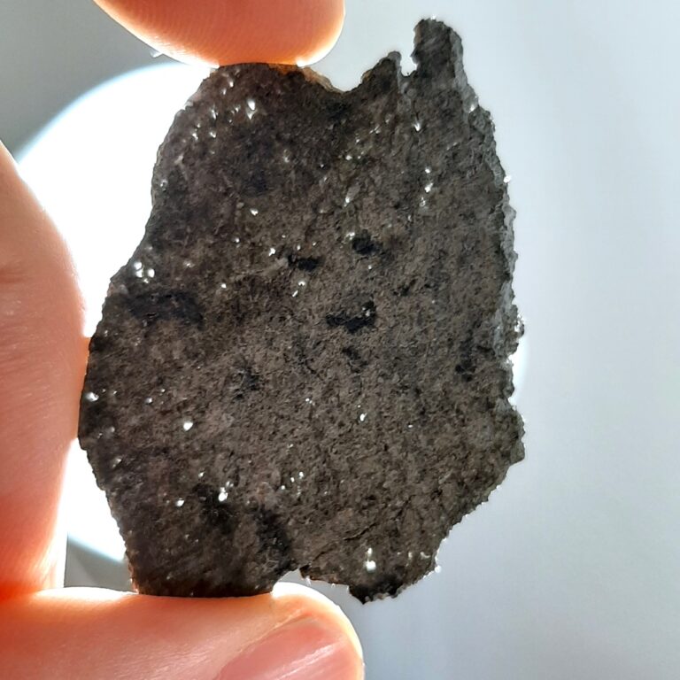 Martian meteorite. NWA 13190. Translucent slice.