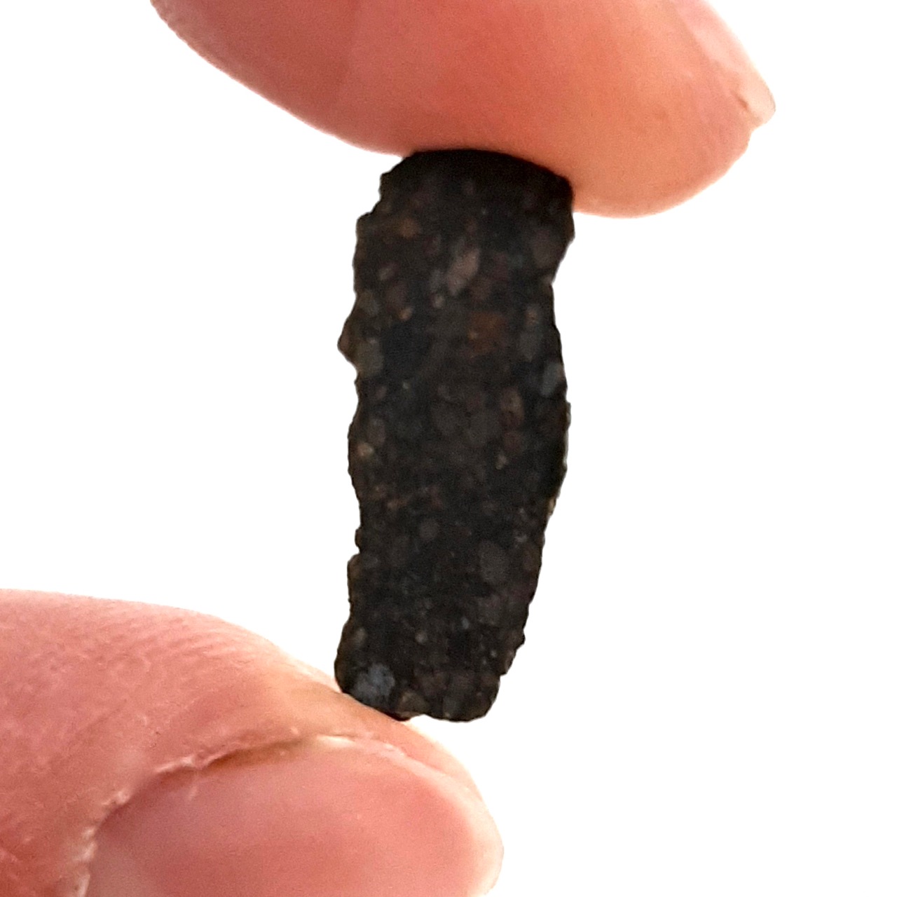 NWA 1465 meteorite. CV3 anomalous.