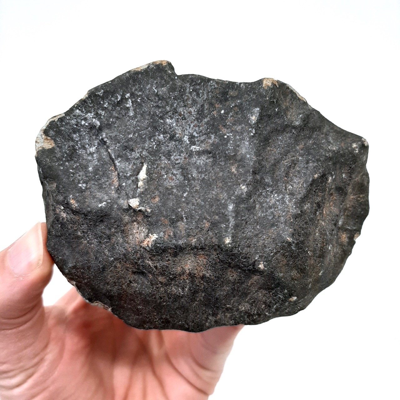 Ghadamis meteorite. HaH 346. Observed fall.