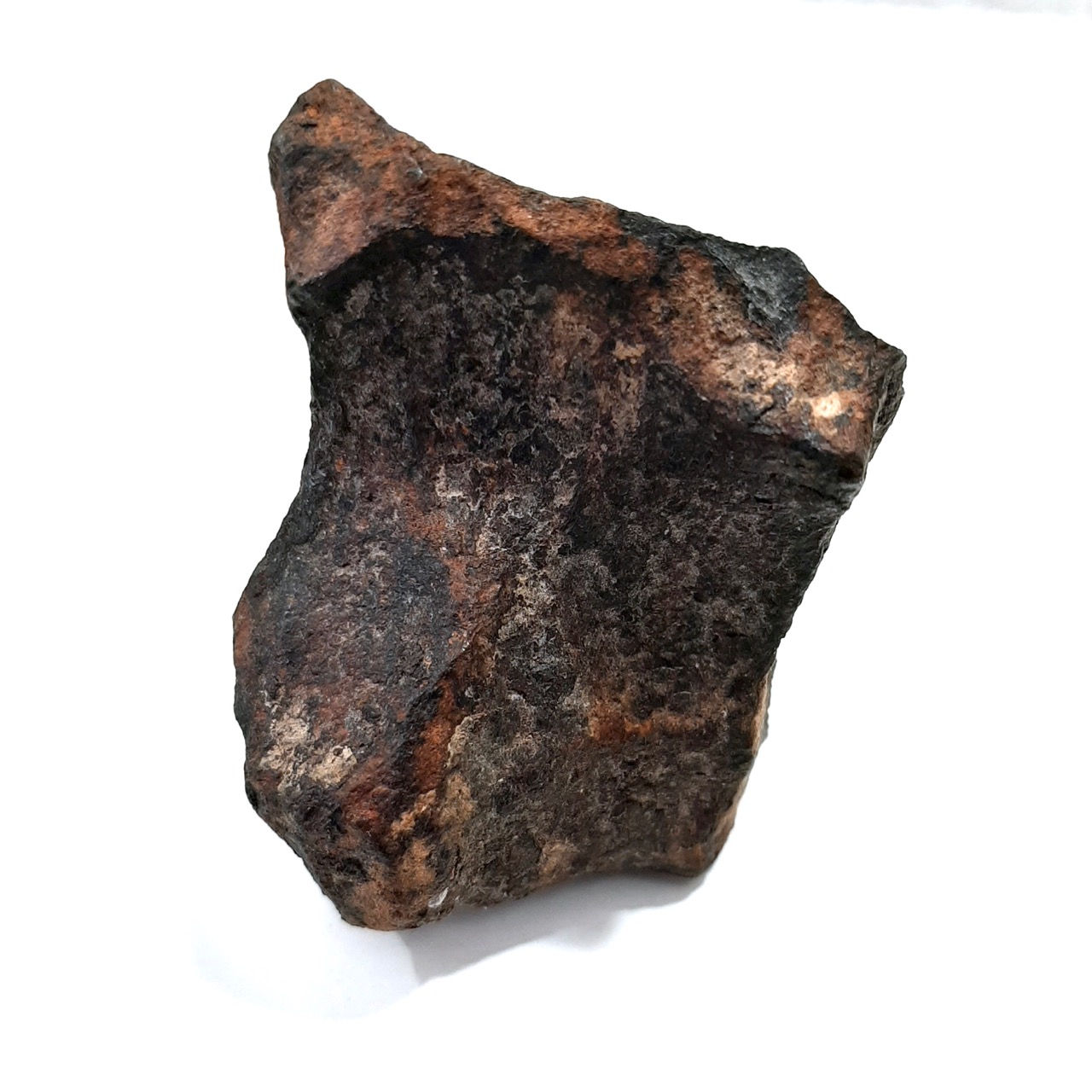 Gibeon meteorite. Sculptural individual. Self-standing.