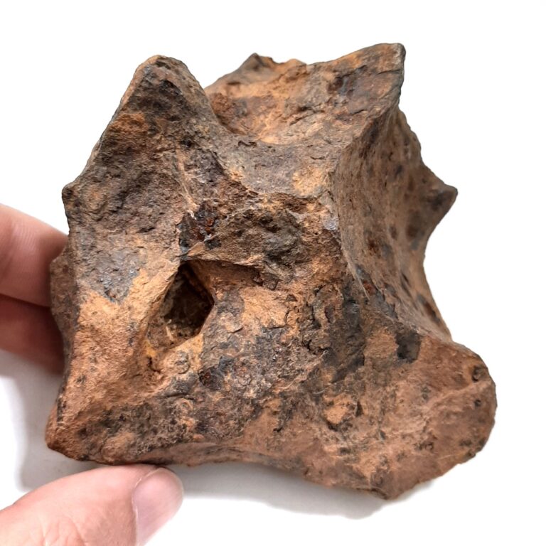 Canyon Diablo meteorite. Crater maker.
