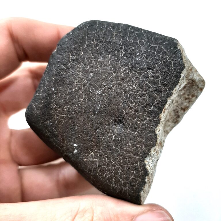 Ghadamis meteorite. HaH 346. Contraction cracks. 75% crust.
