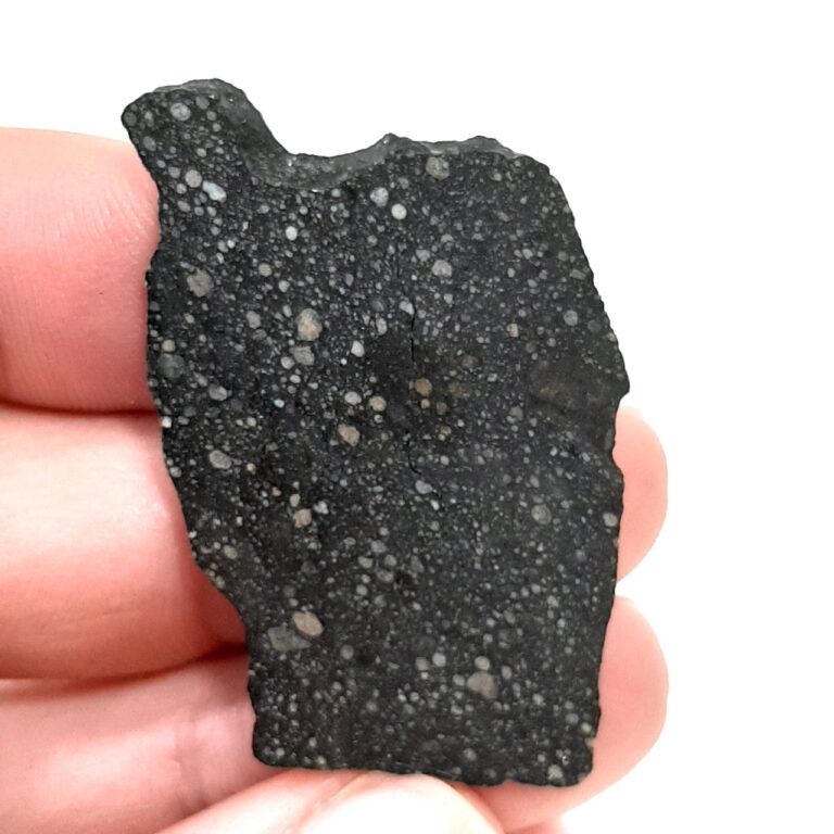 R chondrite. NWA 13518. Rumuruti meteorite. Slice.
