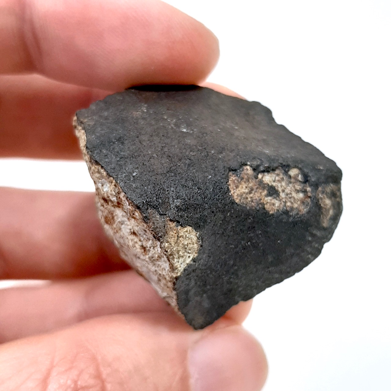 Viñales meteorite. L6 chondrite.