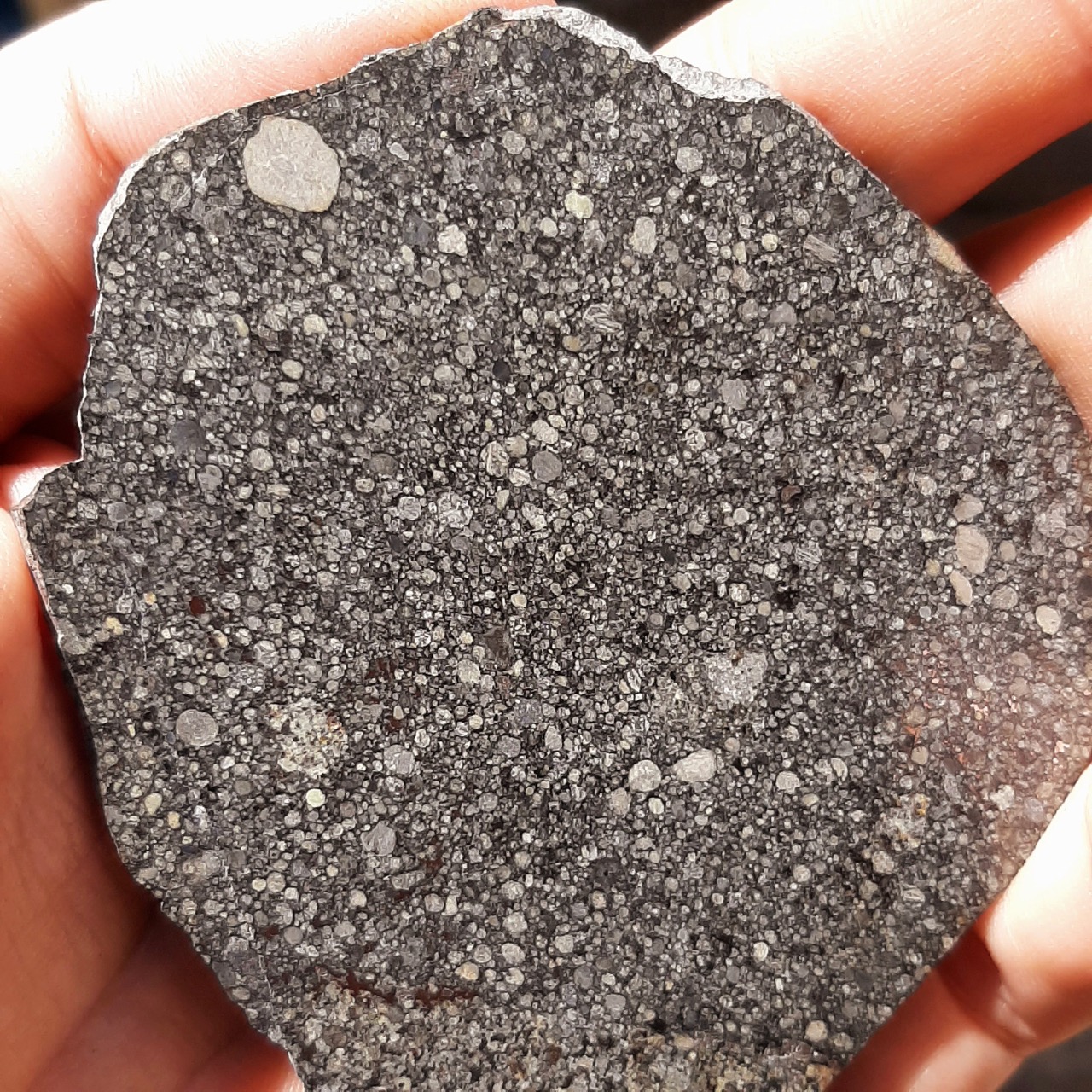 Aba Panu meteorite. L3 chondrite. Galaxies of chondrules.