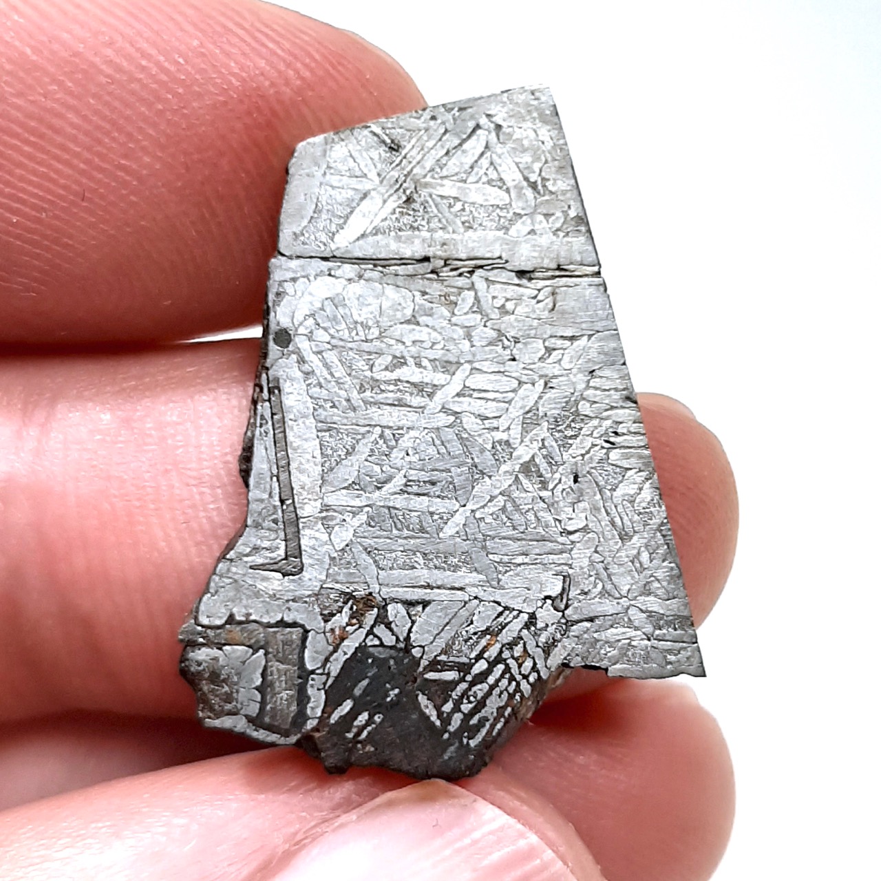 Bear Creek meteorite. Historic iron from Colorado.