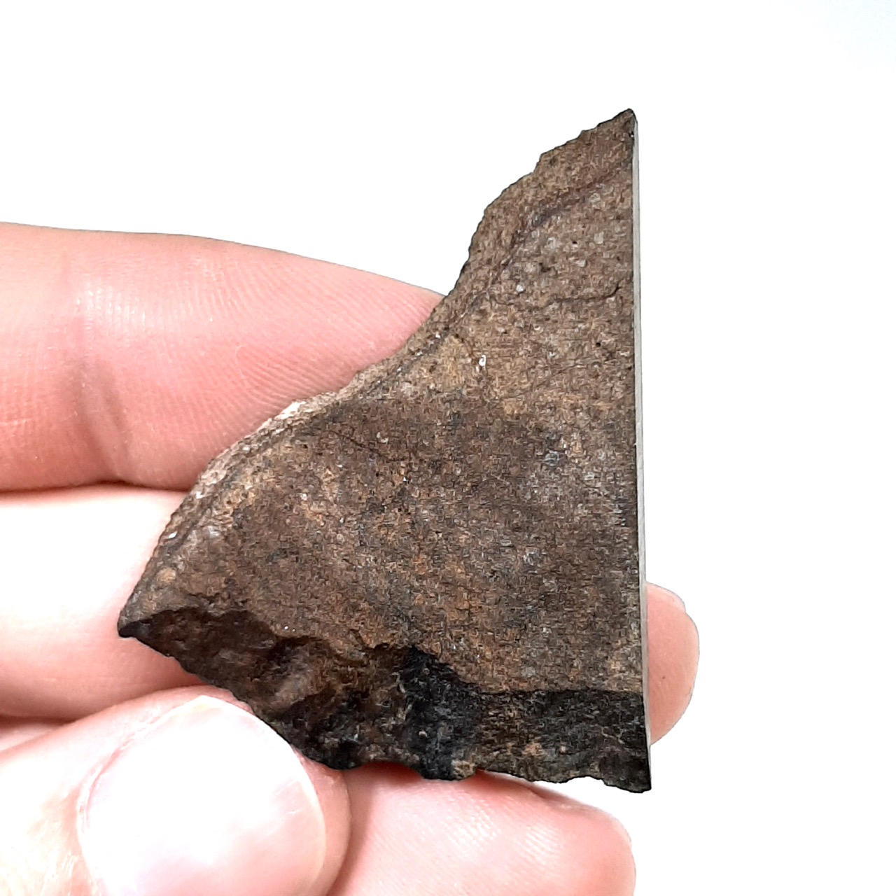 Boolka meteorite. Australian H5 chondrite.