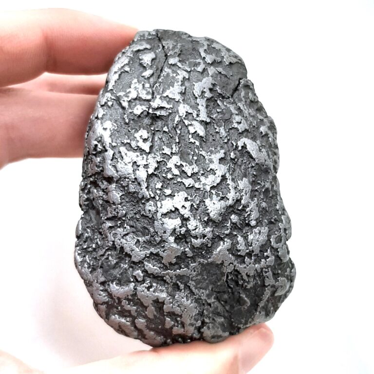 Rare graphite nodule of Campo del Cielo meteorite.