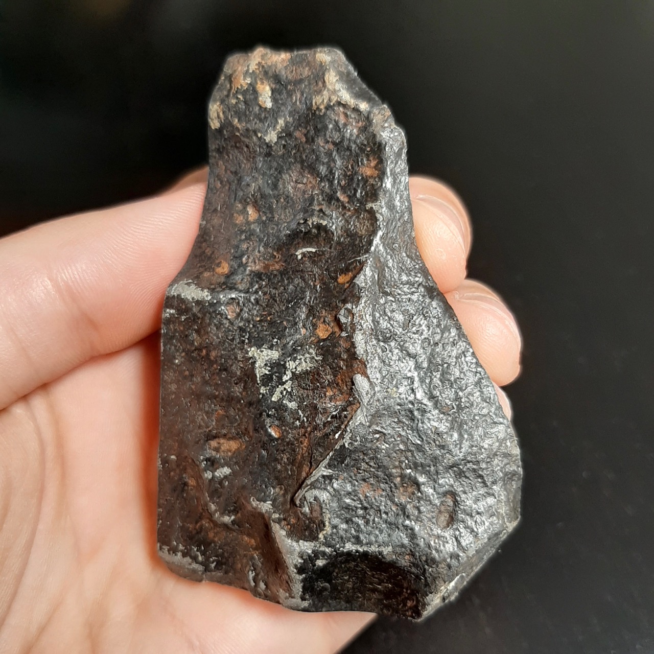 Gibeon meteorite. Endcut - Meteolovers