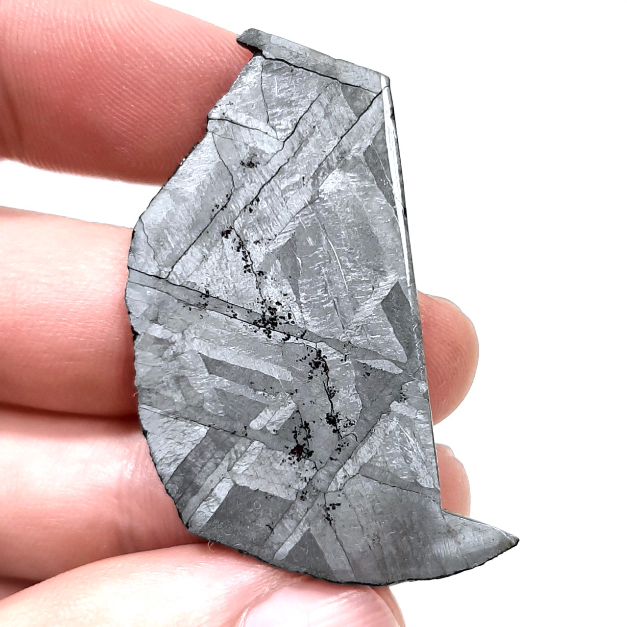 Hidden Valley meteorite. Rare iron from Australia.
