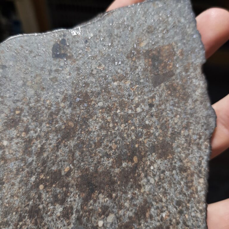 NWA 1495 meteorite. L4-5 chondrite. 14cm long slice.