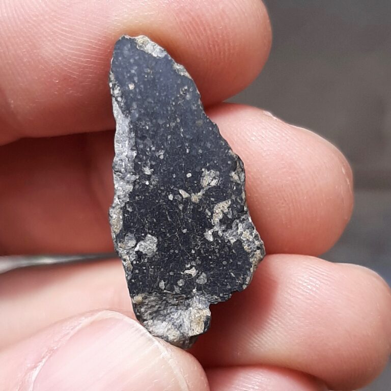 Lunar meteorite. NWA 11474. Endcut.