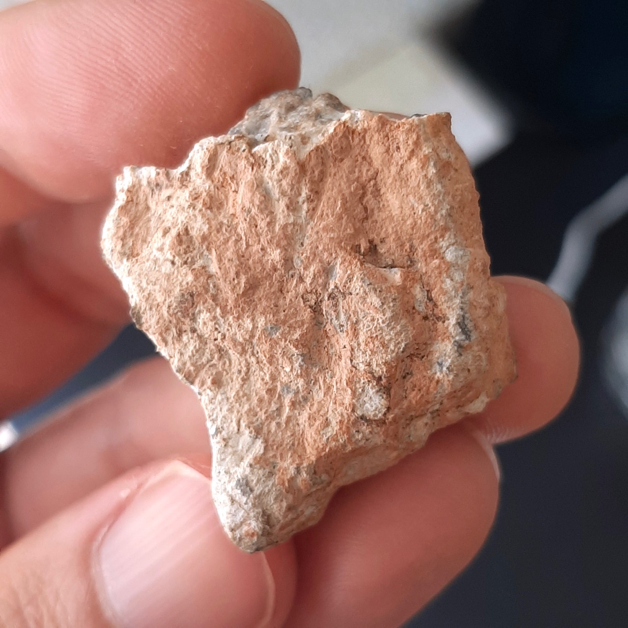 Lunar meteorite. Rock from the Moon. Bechar 006.