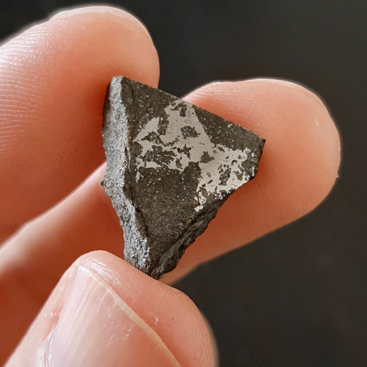 Portales Valley meteorite.