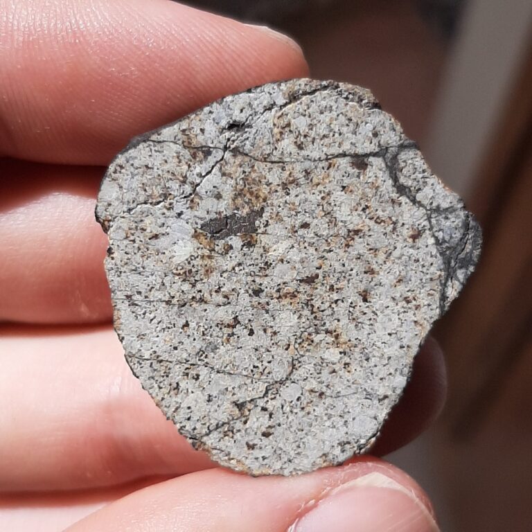 Viñales meteorite. L6 chondrite. Endcut.