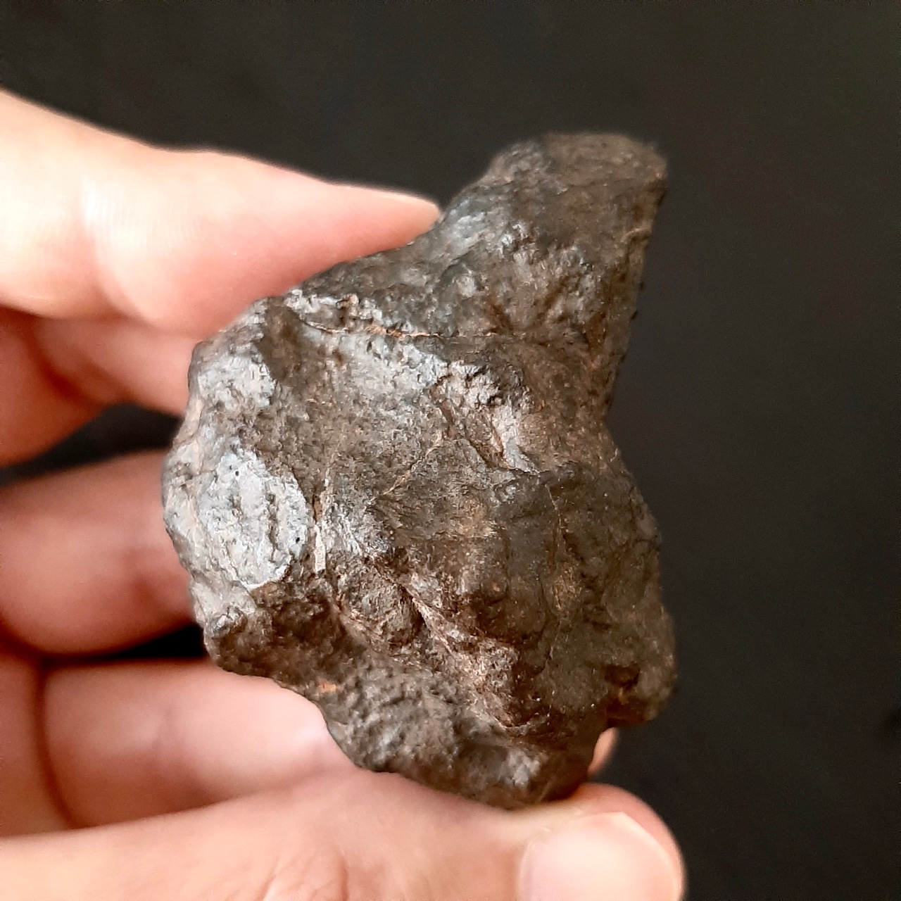 Winonaite. NWA 15061. Rare type of meteorite.