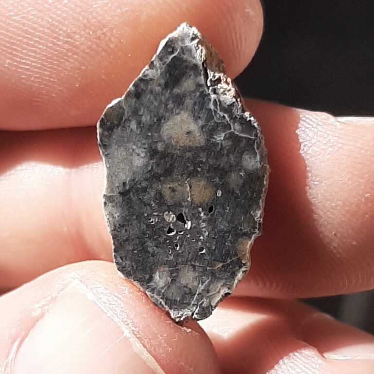 Lunar meteorite. Bechar 006. Endcut.