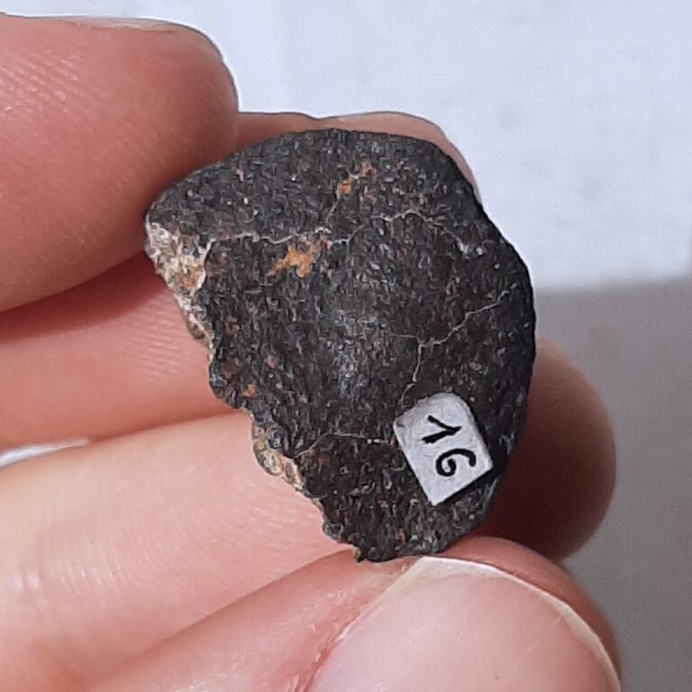 Nuevo Mercurio meteorite. Small old label.