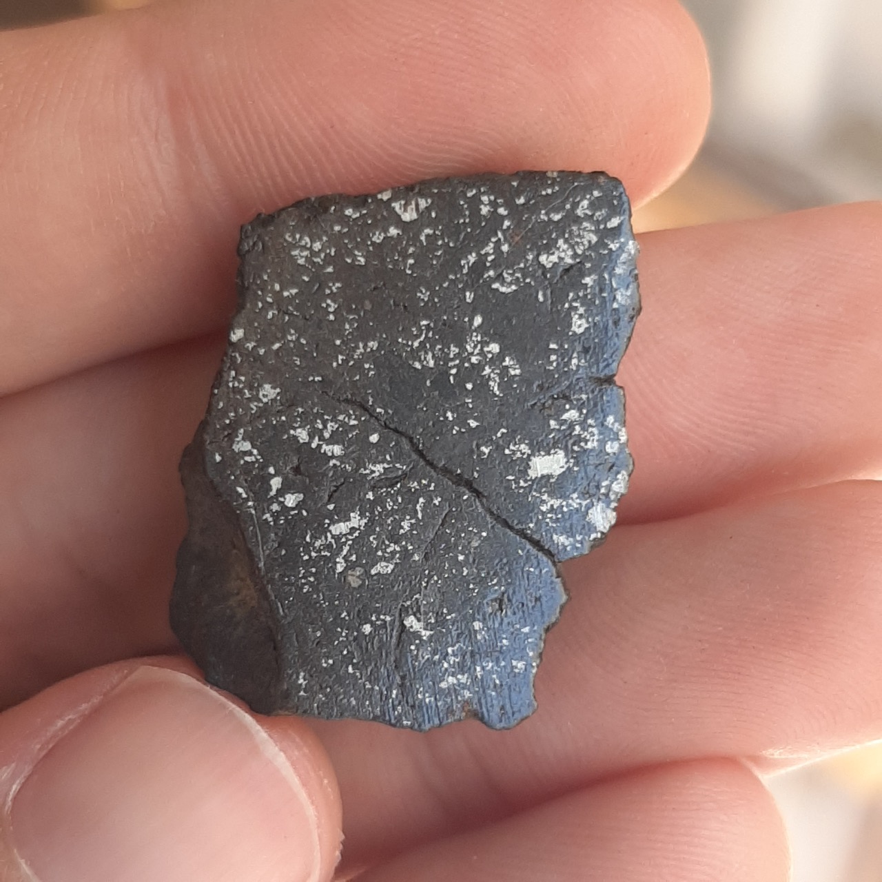 Vaca Muerta meteorite. Historic mesosiderite.