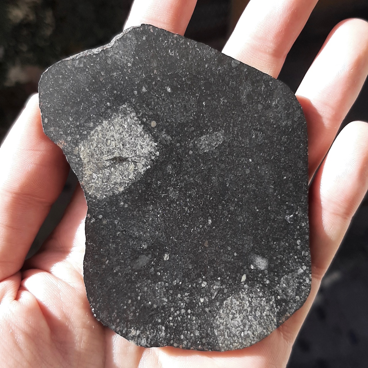 Ghubara. Classic meteorite from Oman.