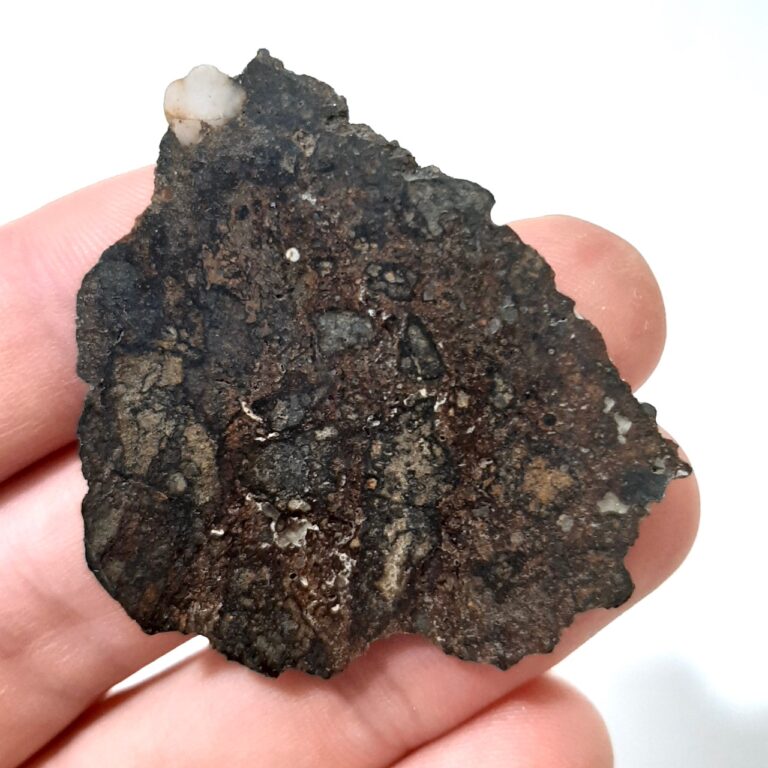 Korra Korrabes meteorite. From Gibeon's strewnfield.