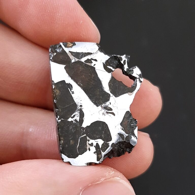 Albin meteorite. Rare pallasite.