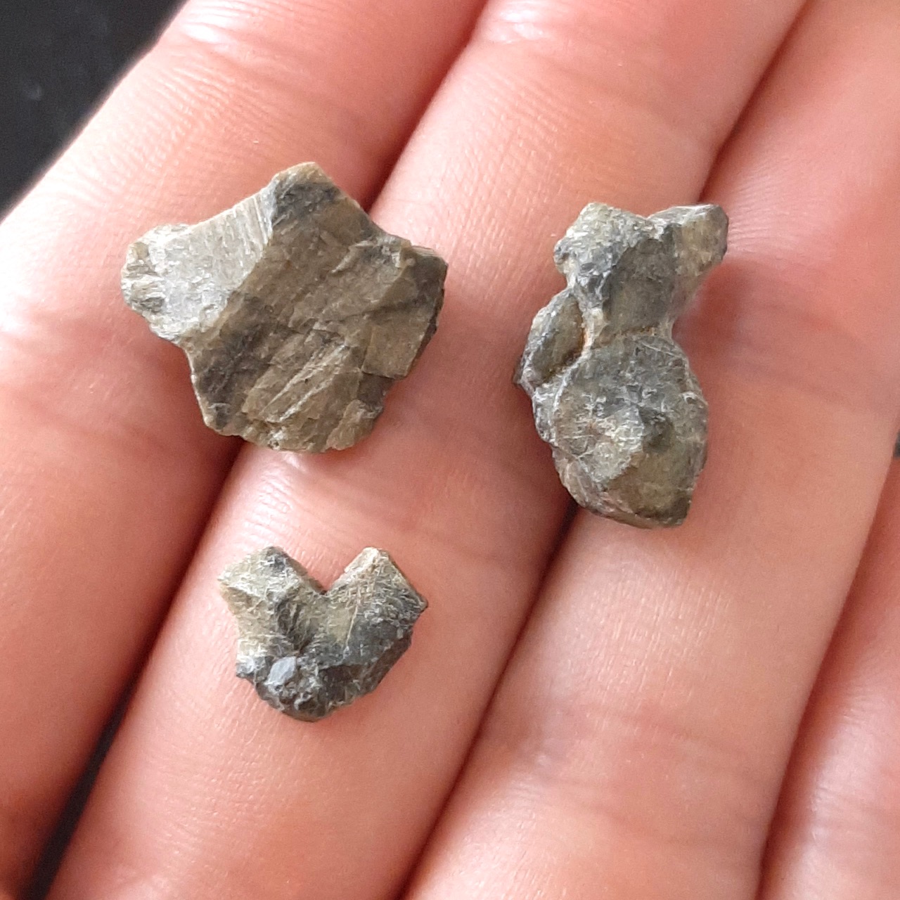 Tatahouine meteorite. Diogenite observed fall. Lot.