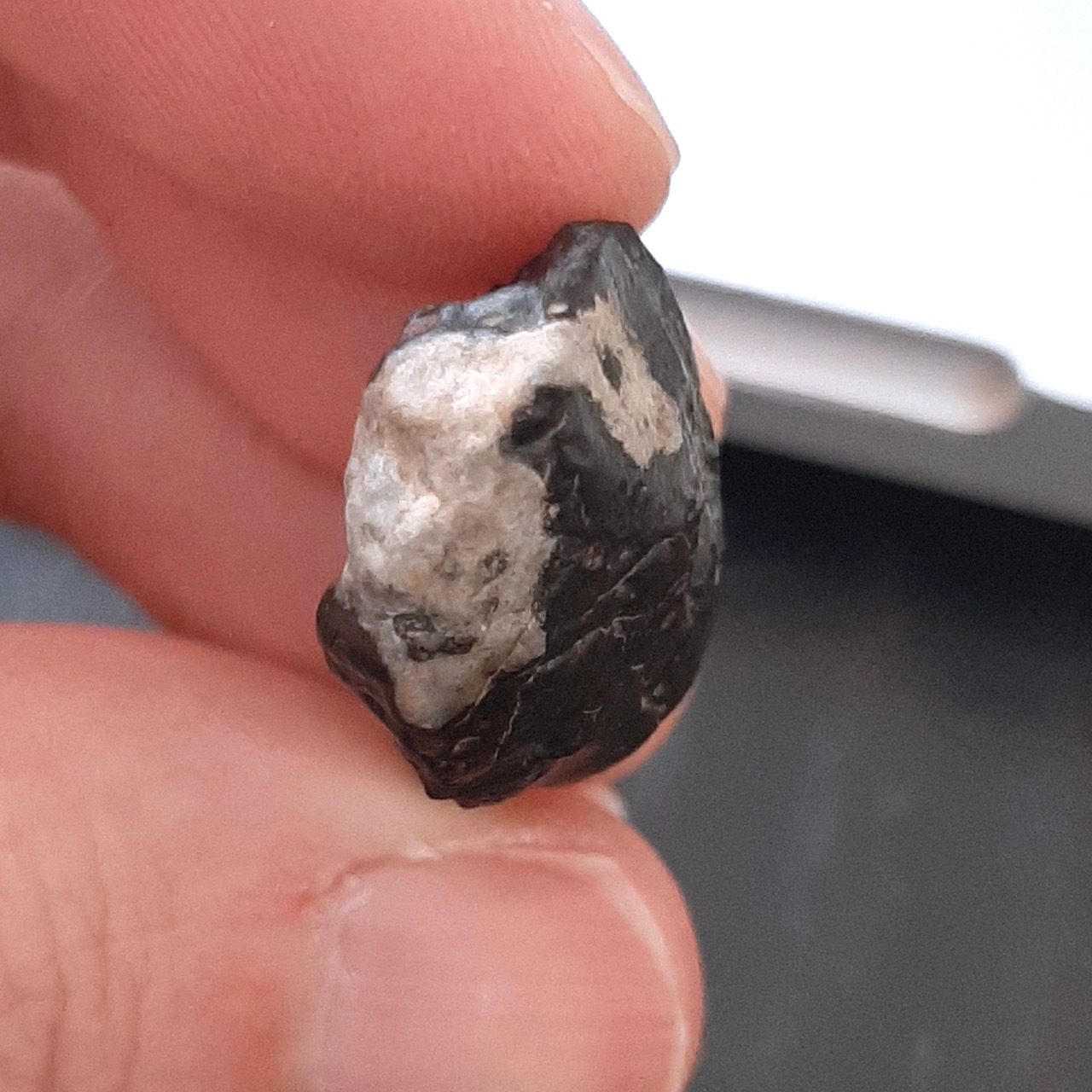 Massive CAI in an unclassified CV3 meteorite.