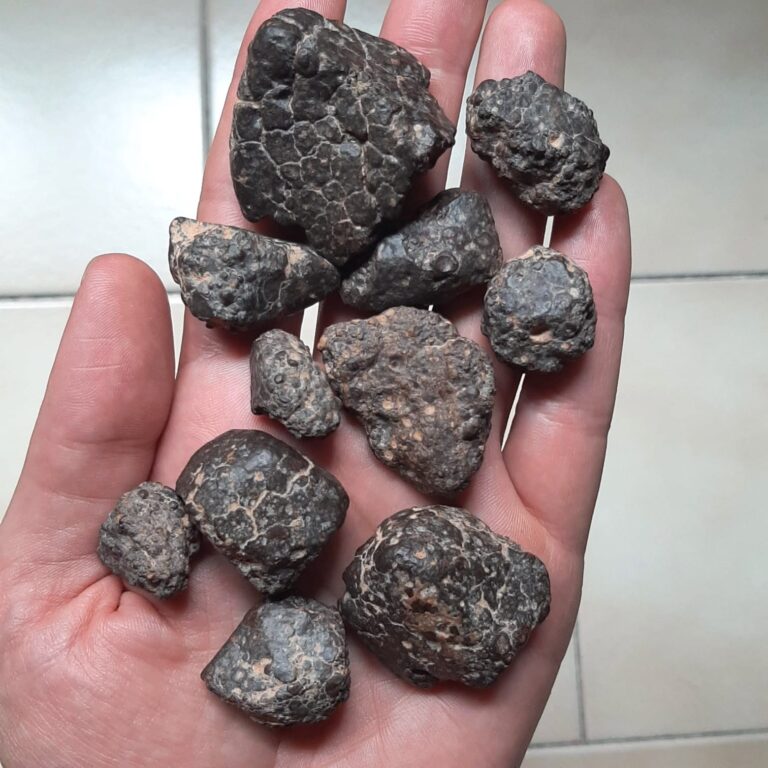 CR2 meteorite. Erg Chech 003.