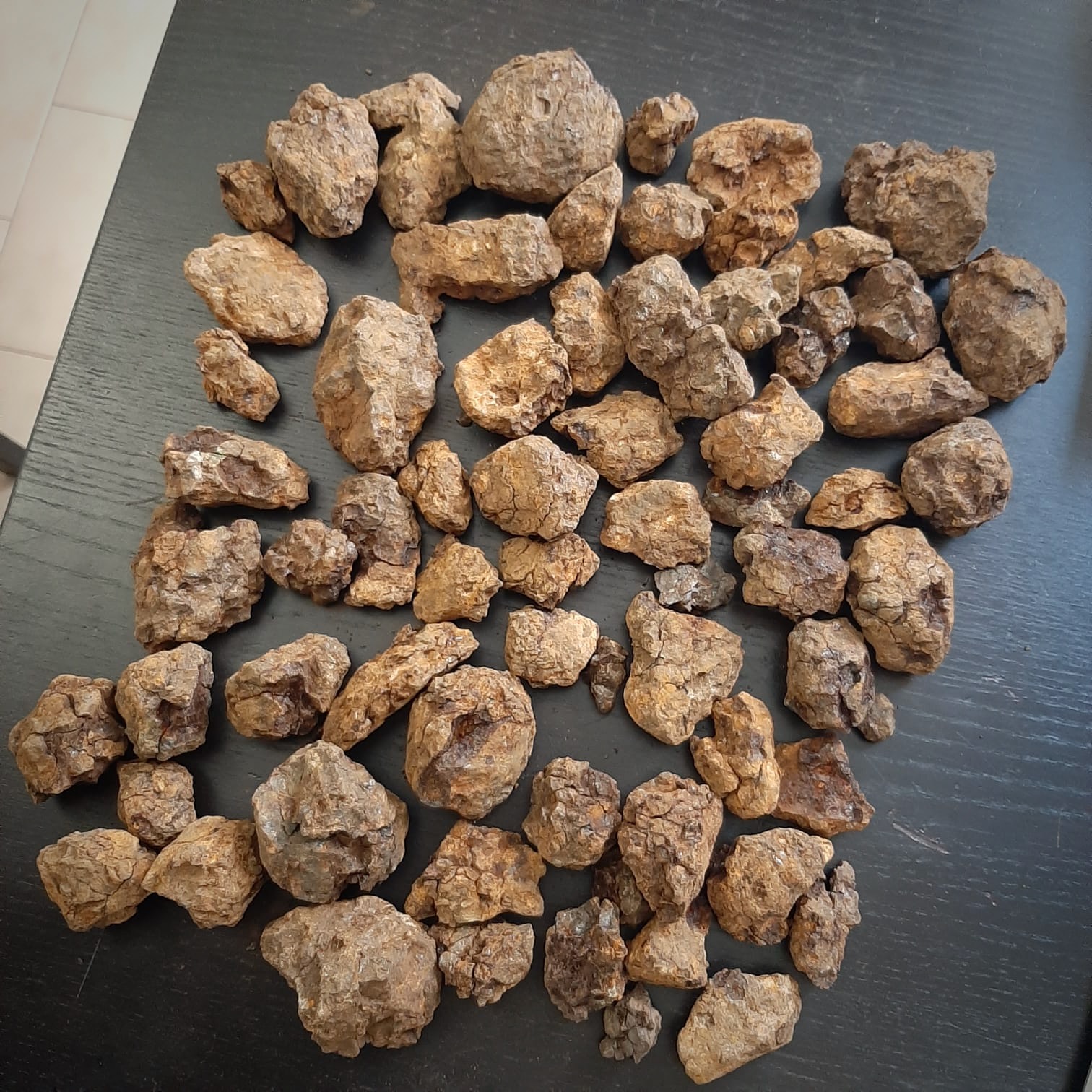 Sericho pallasite meteorite. Wholesale lot.