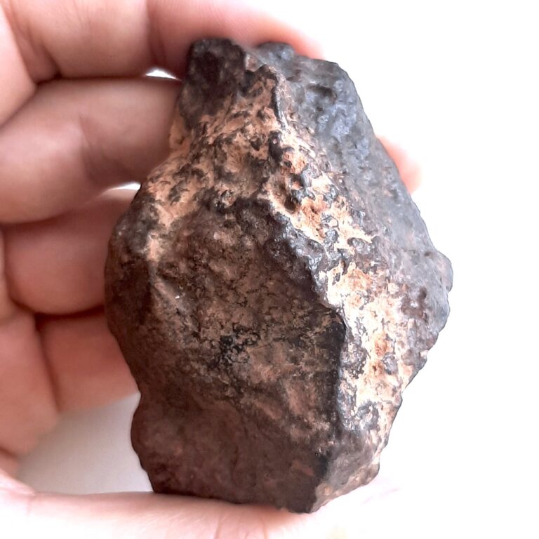 NWA 15061 meteorite. Primitive achondrite.