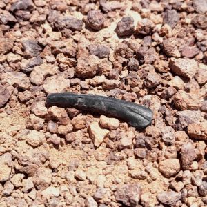 Information about impactites Information about impactites.