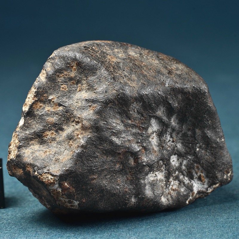 Campo Sales. 111 g. Collection