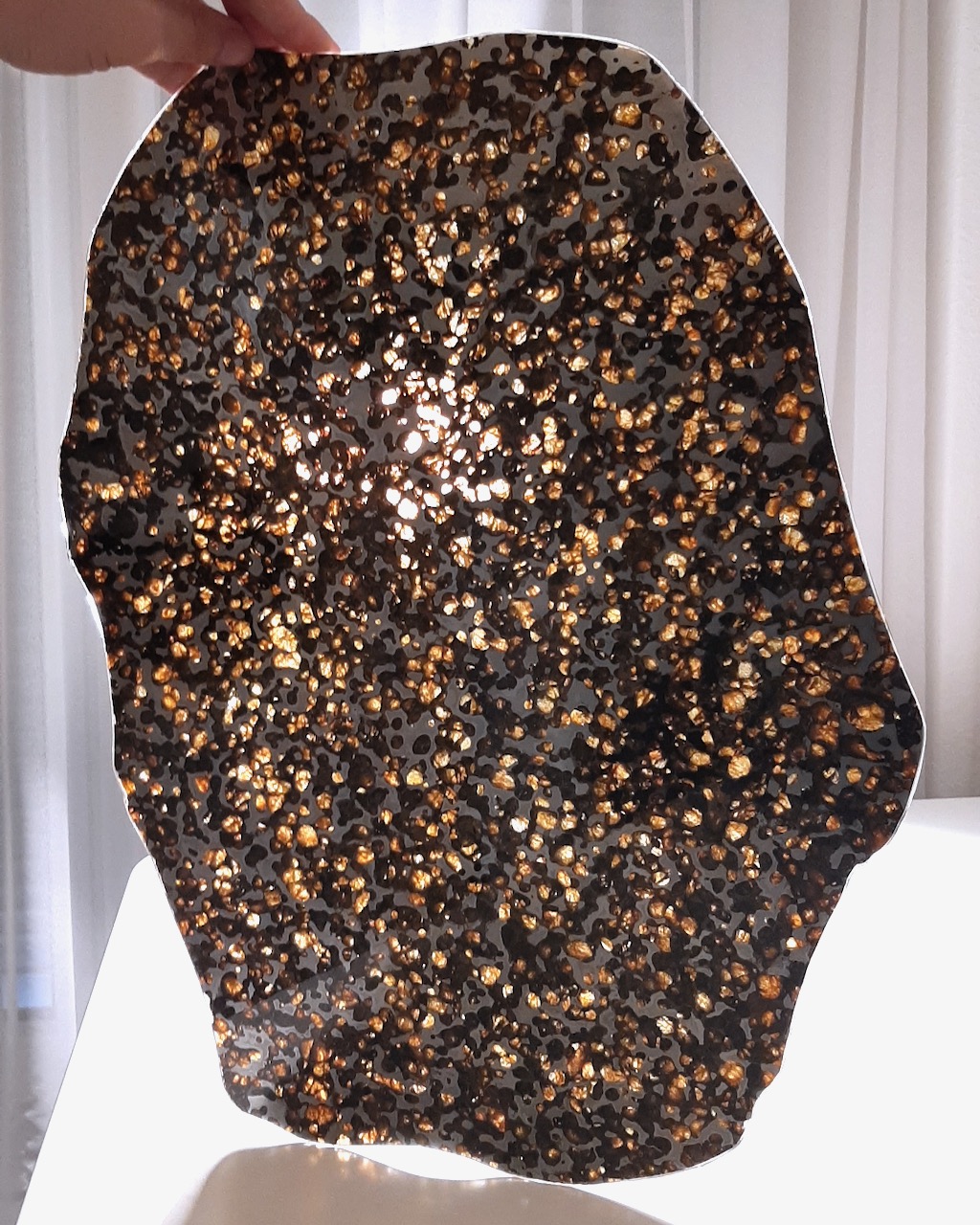 Brenham pallasite meteorite. Museum quality. 46 cm diameter -