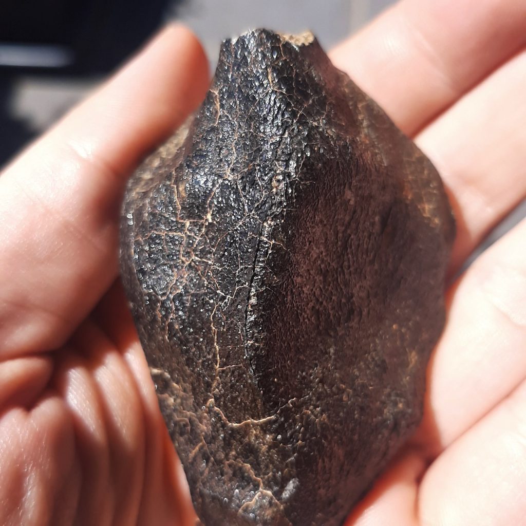 Meteorites for sale.