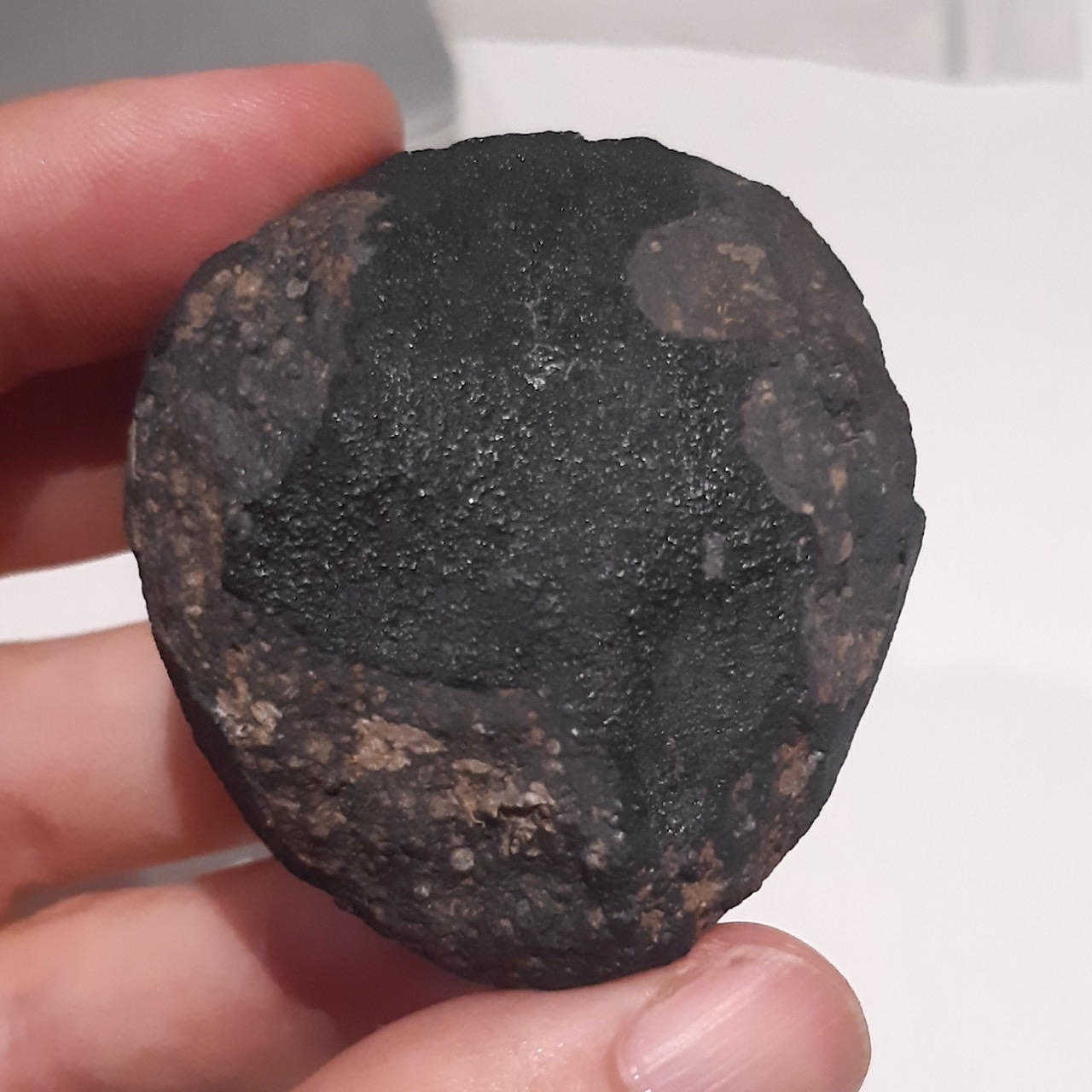 allende meteorite - 2