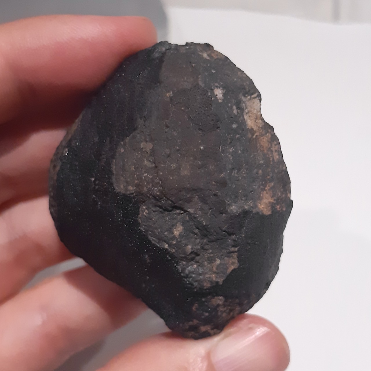 allende meteorite - 5