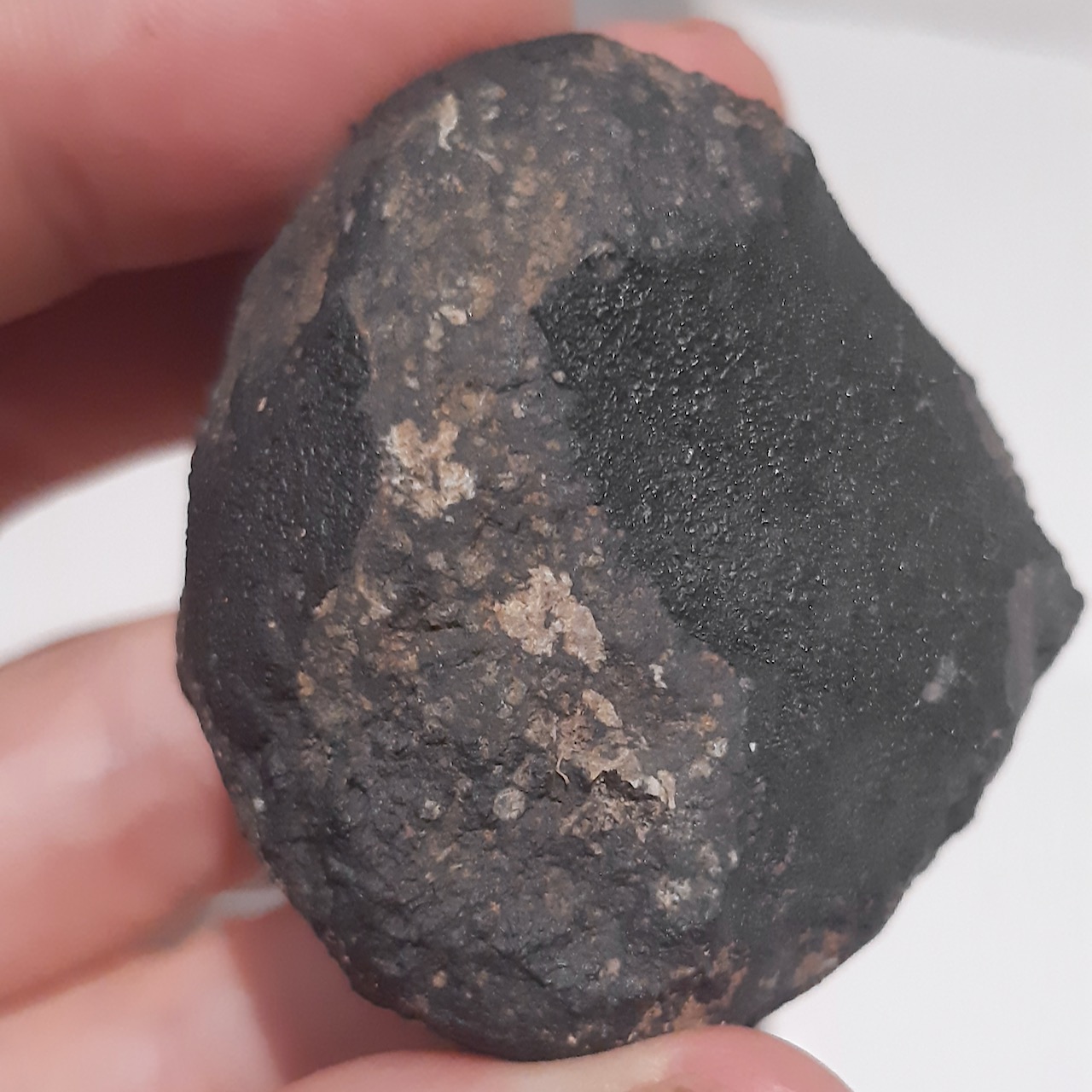 allende meteorite - 8