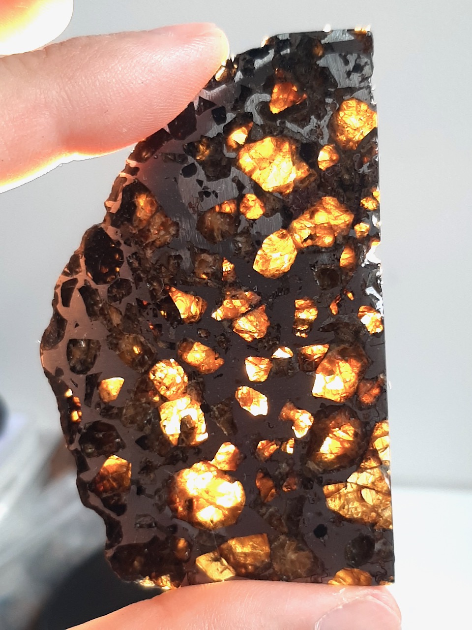 Imilac meteorite. Pallasite from Chile.