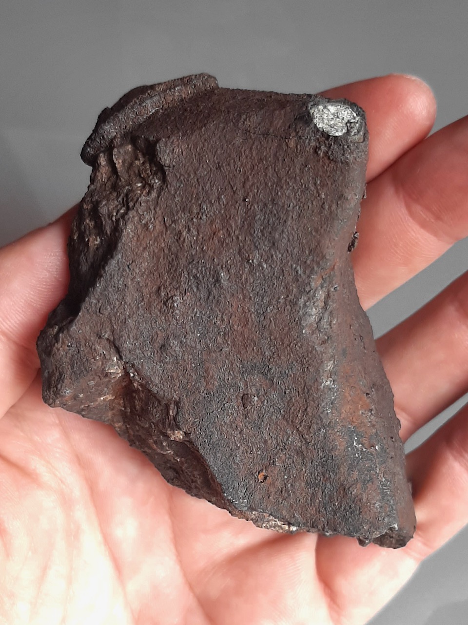 Pultusk. Historic meteorite fall in Poland.