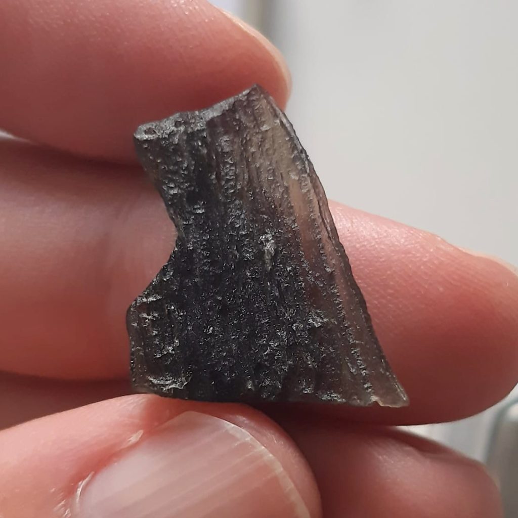 Meteorites for sale.